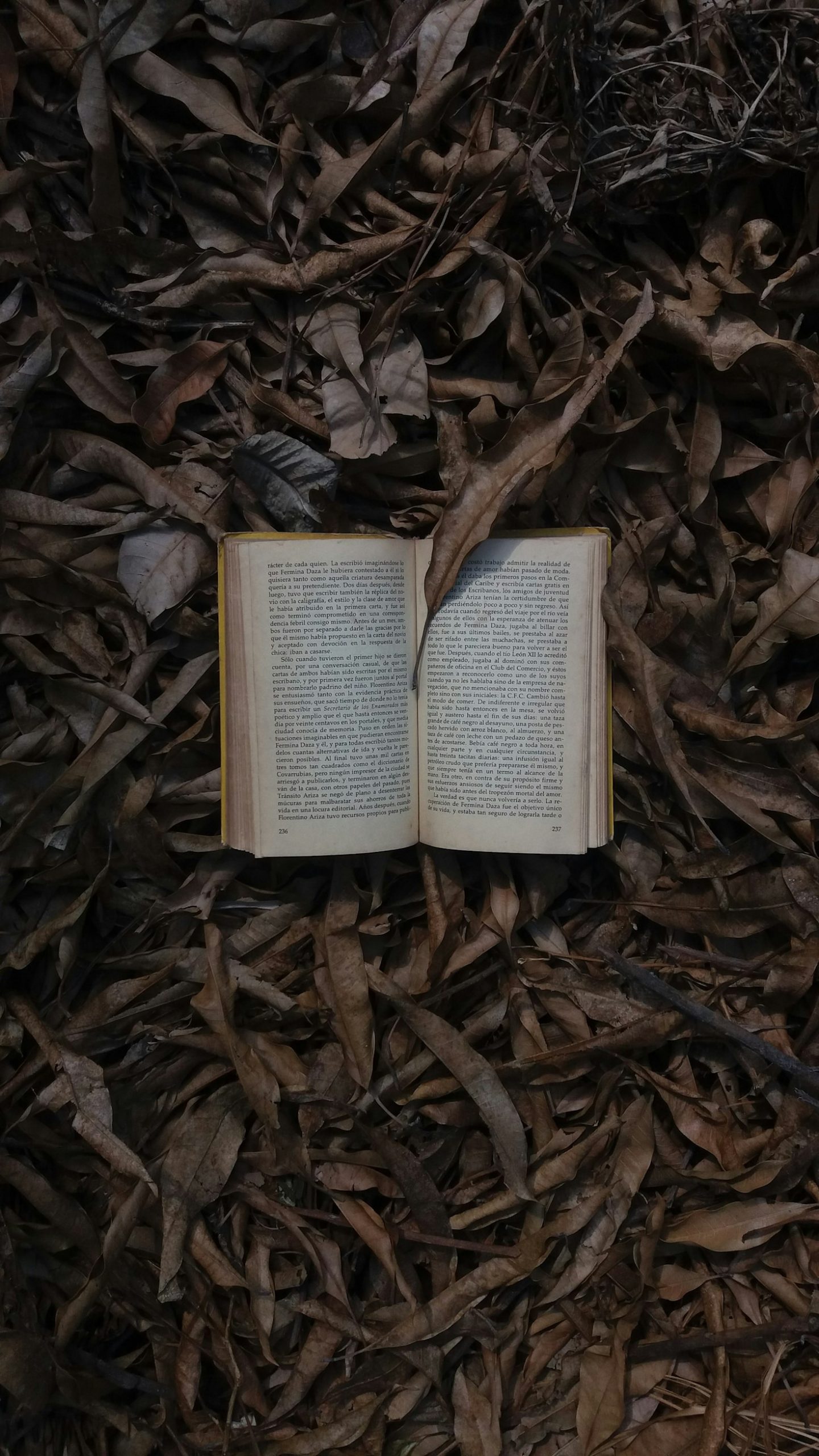 Peering into Mysticism: Themes in Rustam Shirinov’s Novels